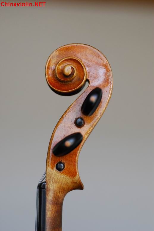 调整大小 dsc_0468.jpg