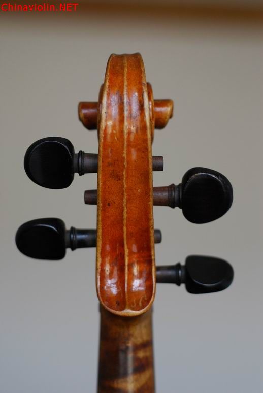 调整大小 dsc_0469.jpg