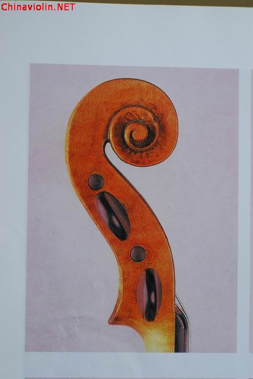 调整大小 dsc_0452.jpg