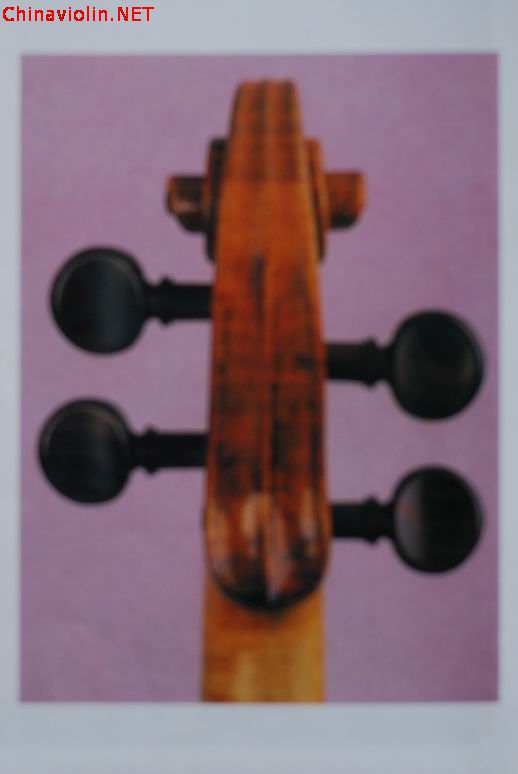 调整大小 dsc_0455.jpg