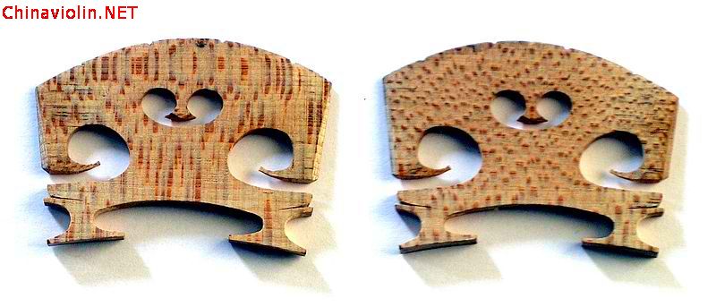 front and back.jpg