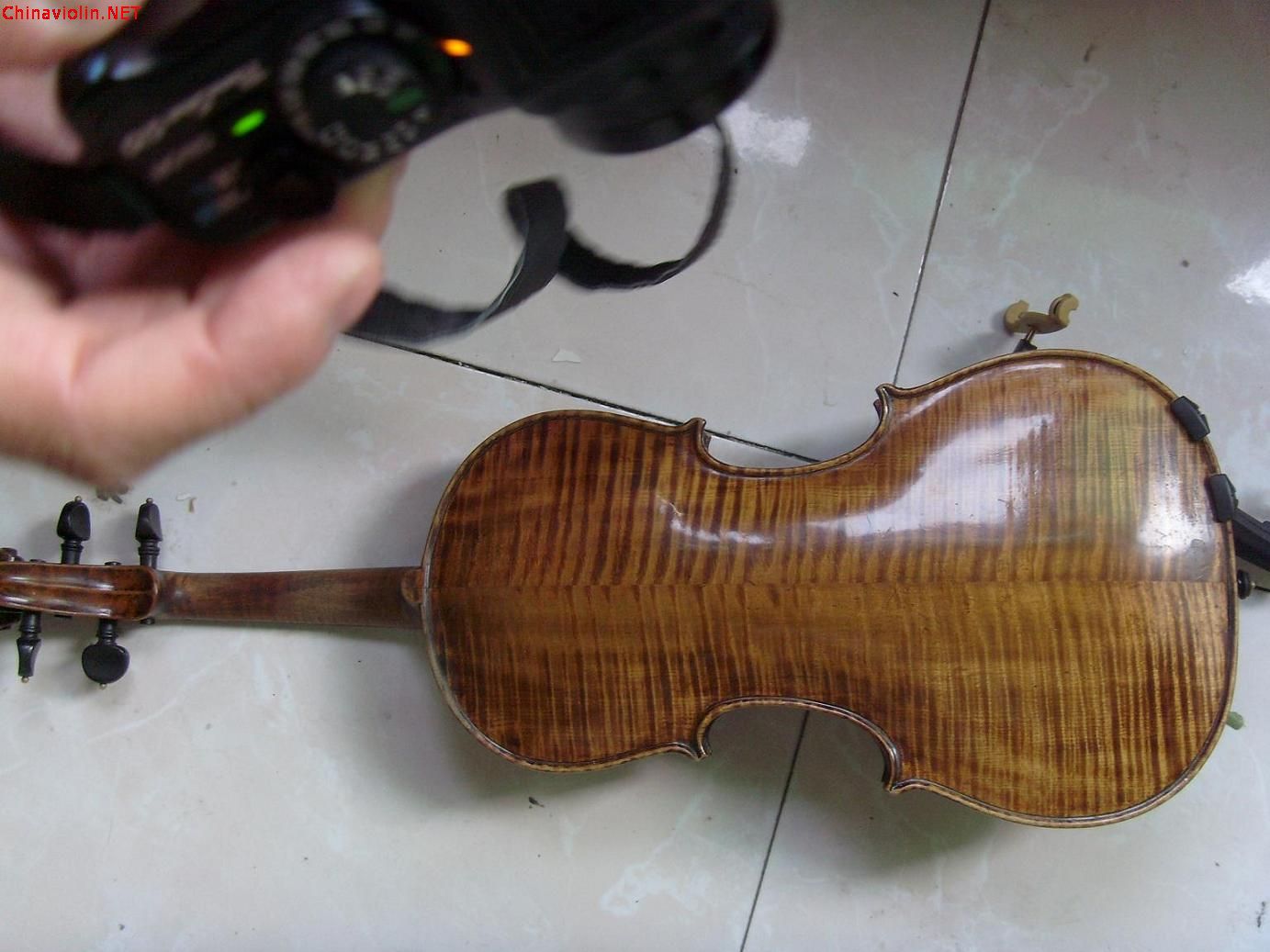 s73r3177.jpg