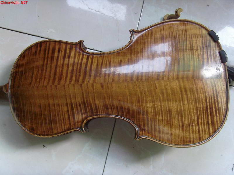 s73r3178.jpg