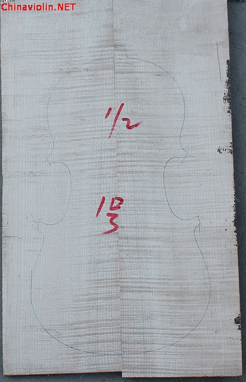 2分之1（1号）.jpg