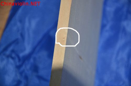 dsc_0079.1_副本_副本.jpg