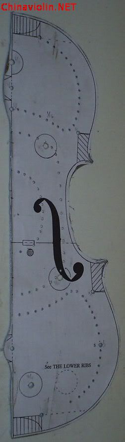 v07.jpg