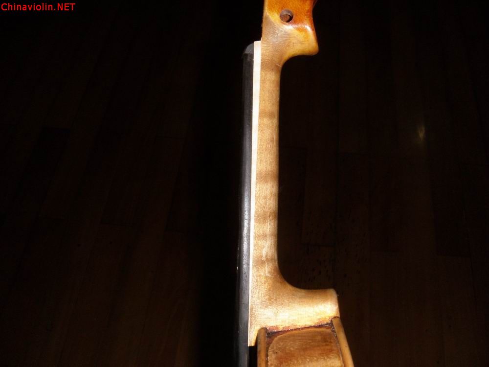 p1011857.jpg