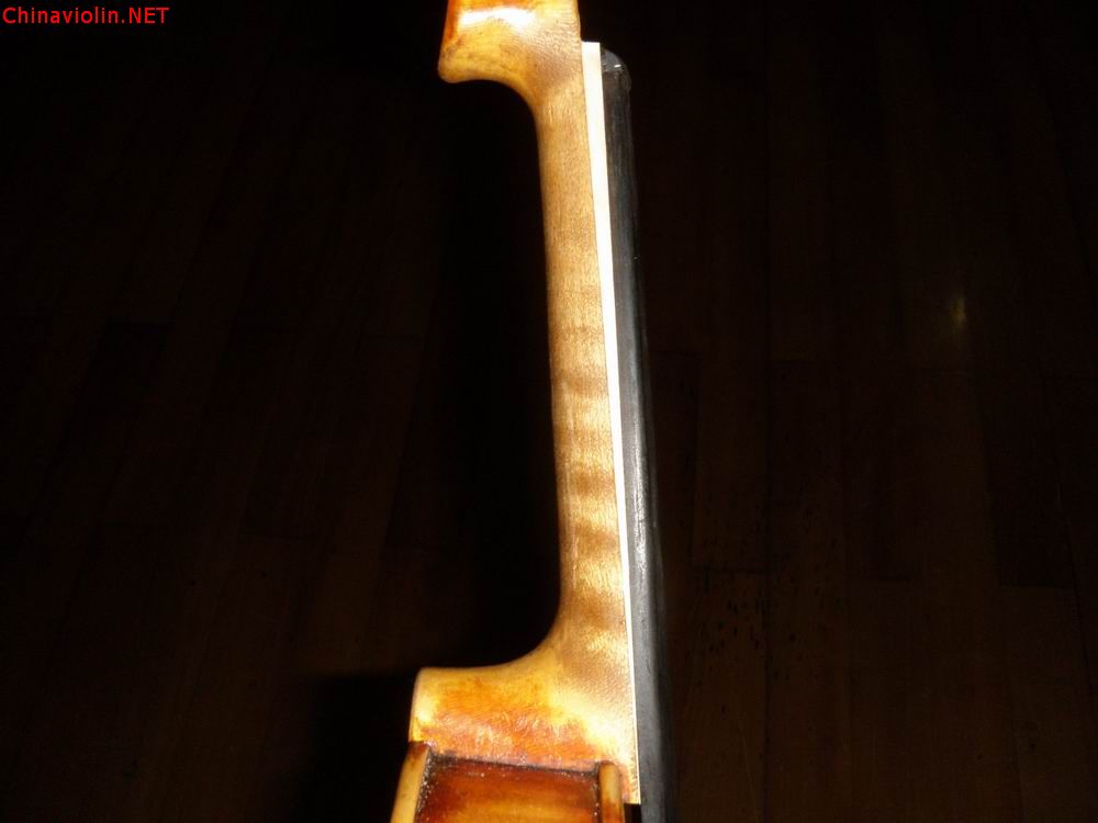 p1011858.jpg