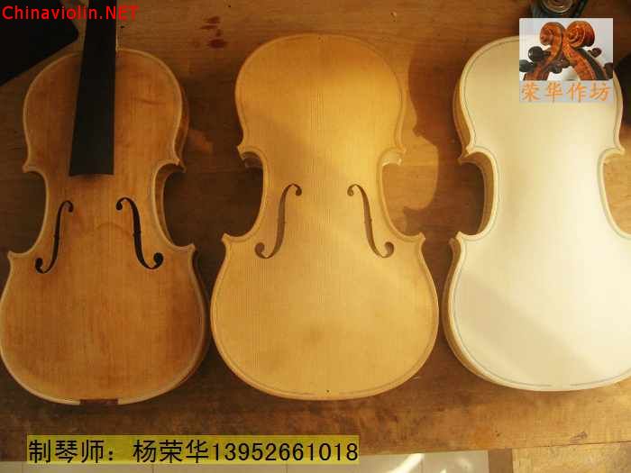 neo_img_snv80258.jpg