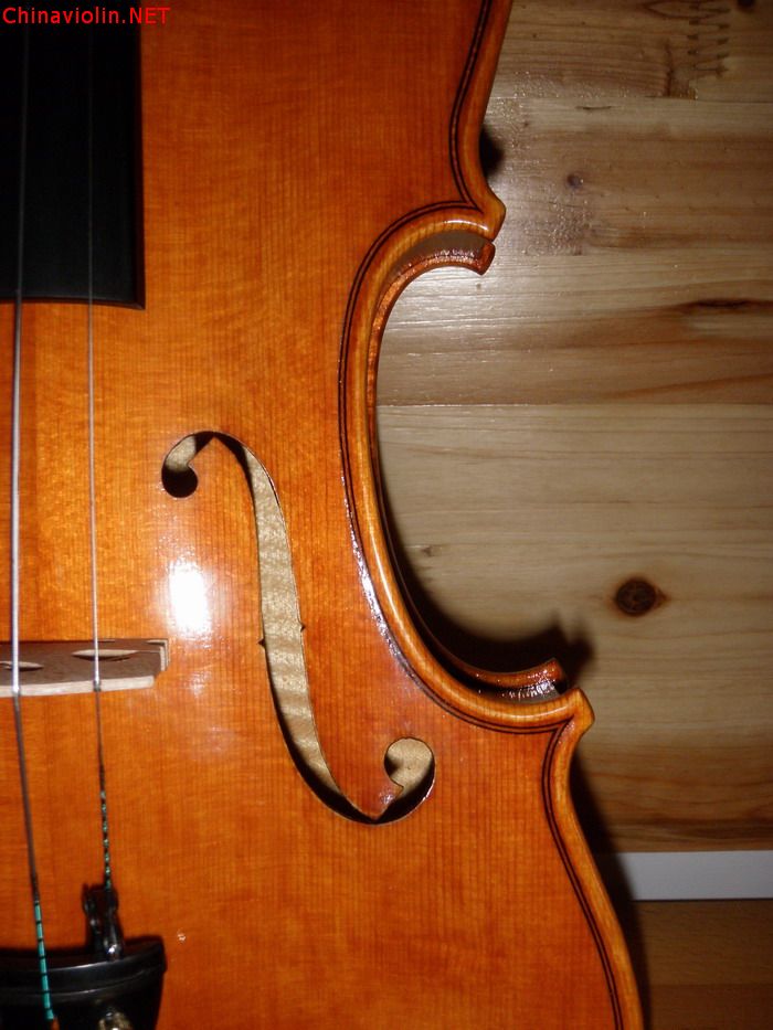 p1012206.jpg