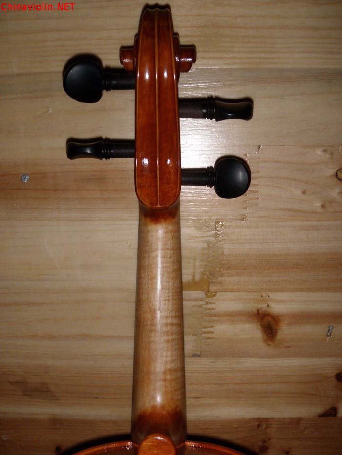 p1012211.jpg
