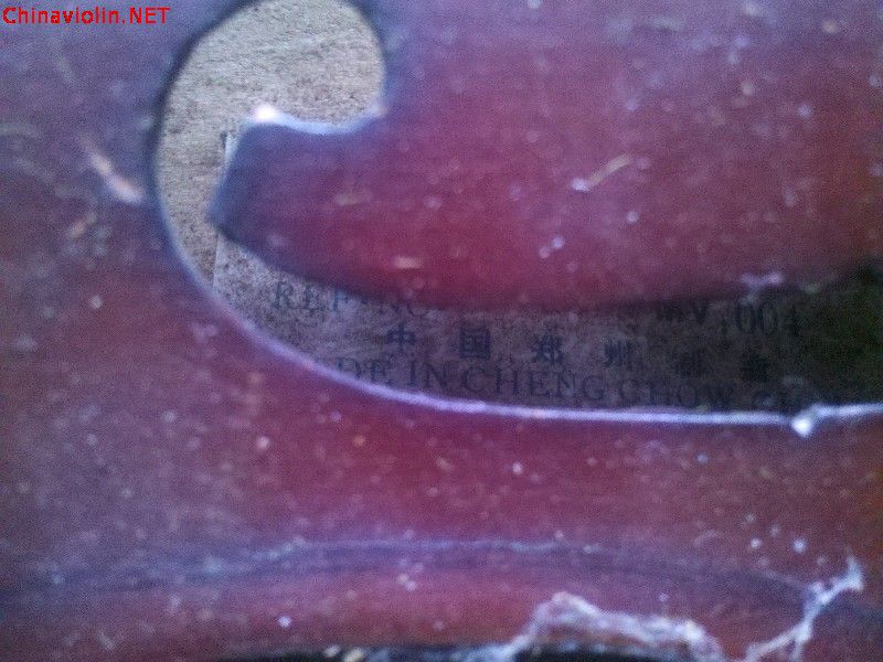 bigbull_c360_2012-08-05-16-38-15.jpg