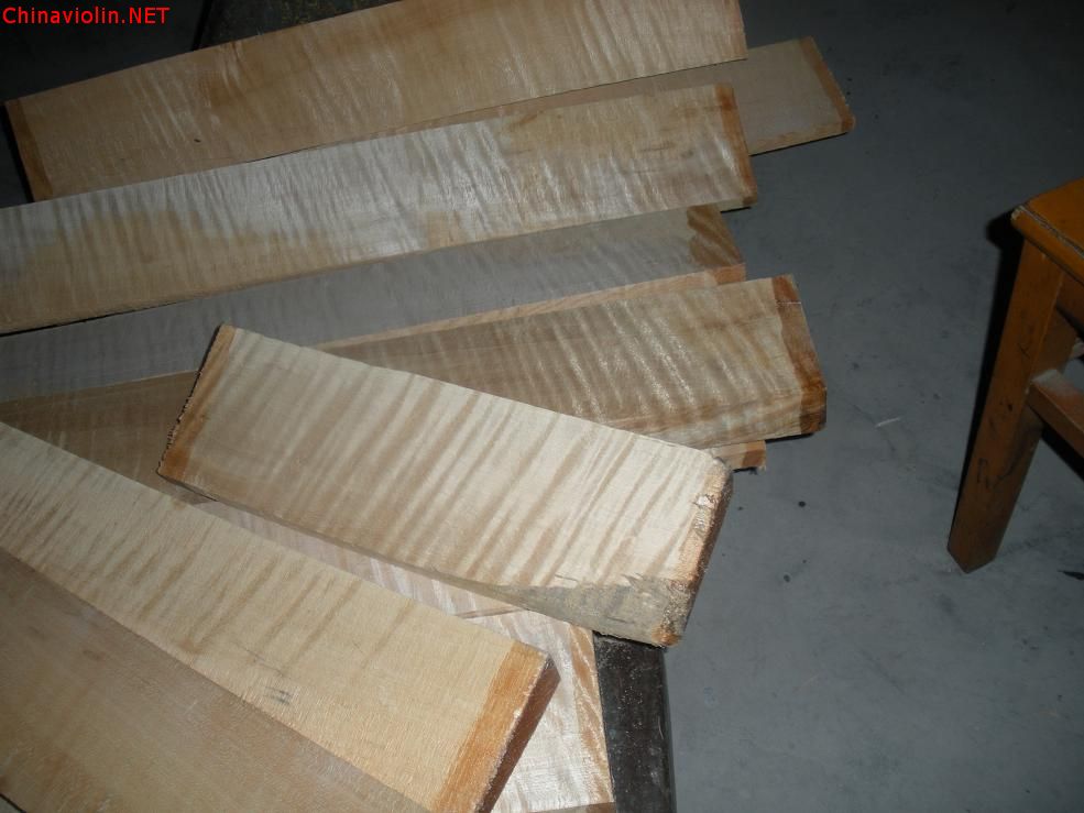 dscn2494.jpg