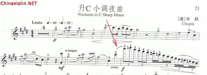 snap083.jpg