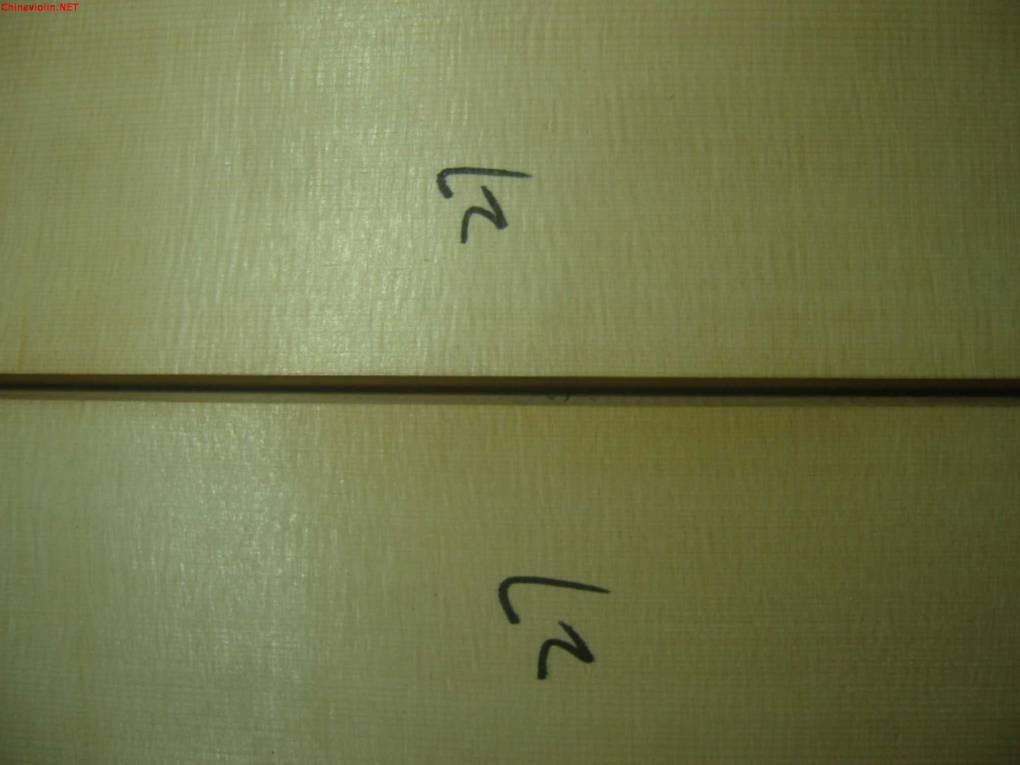 snv81336.jpg