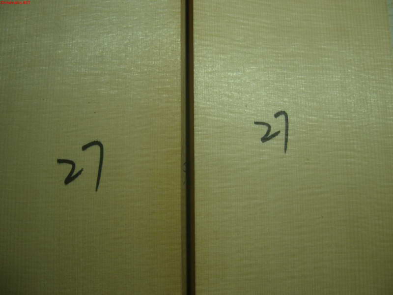 snv81335.jpg