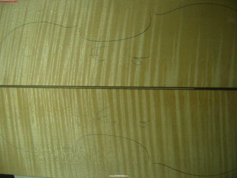 snv81329.jpg