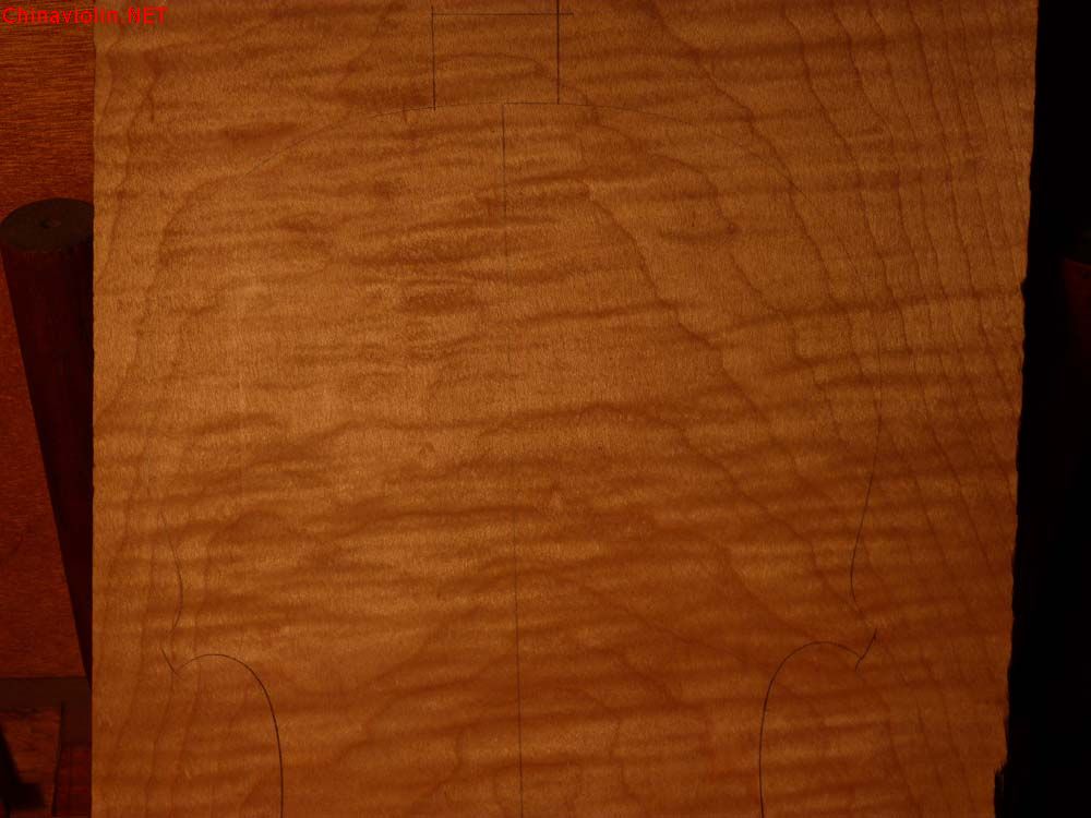 p1130301.jpg
