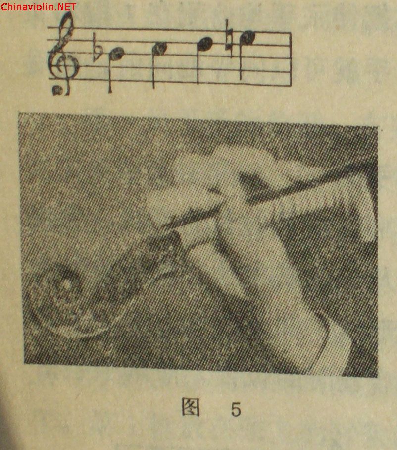100_9050.jpg