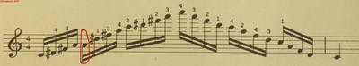 100_9051.jpg