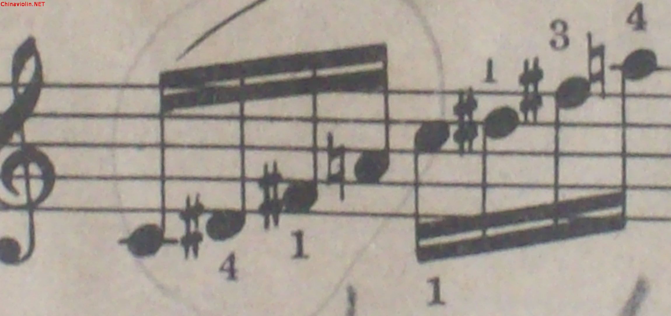 100_9061.jpg