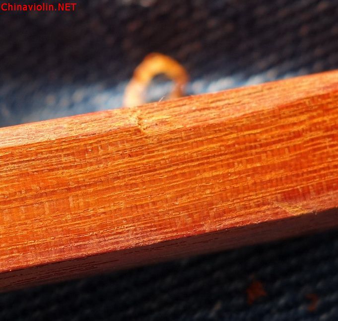 苏木琴弓的木射线