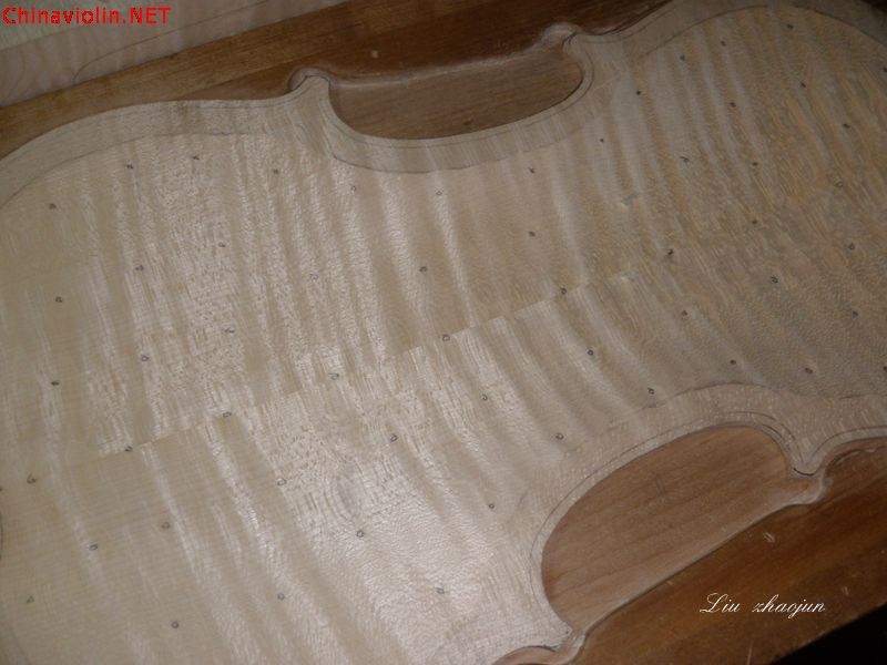 p1010264.jpg