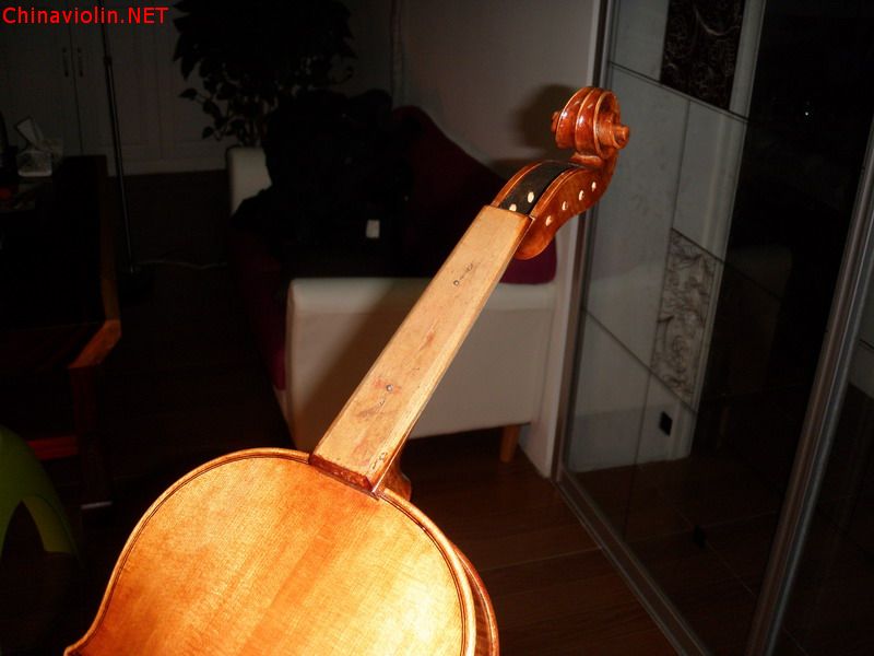 p1010679.jpg