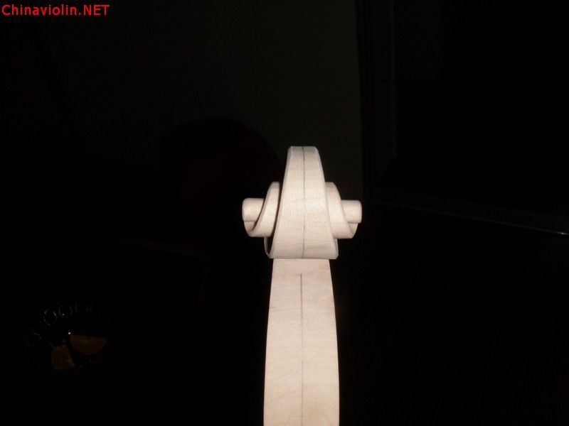 p1010493.jpg