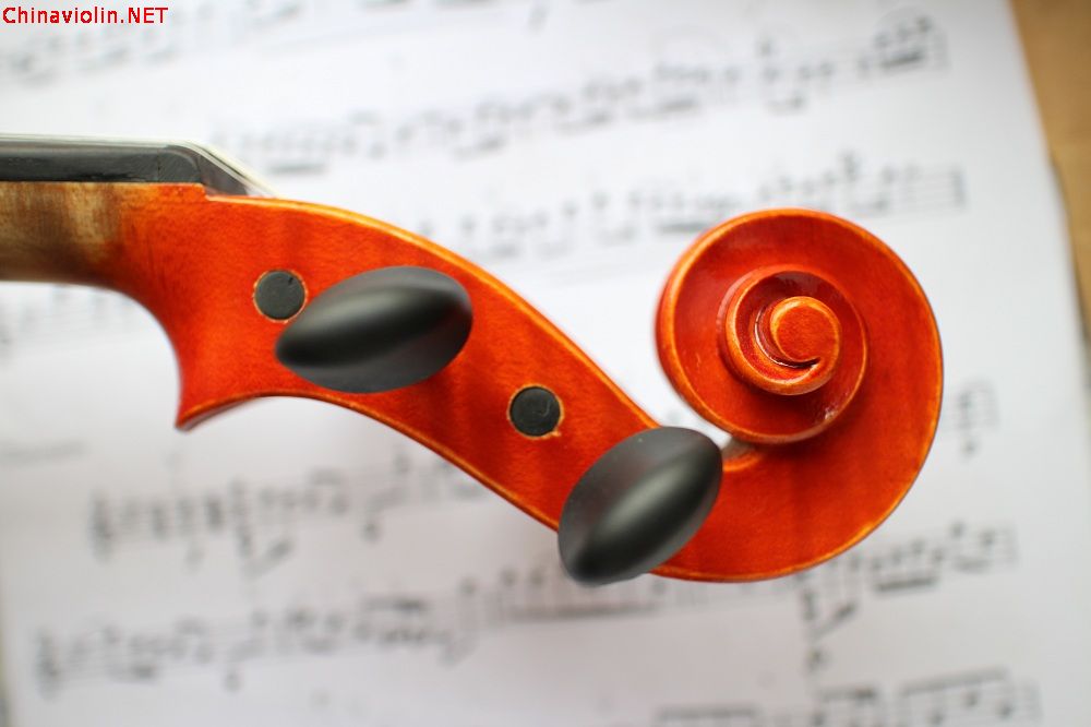 G-017的琴主上来发帖了