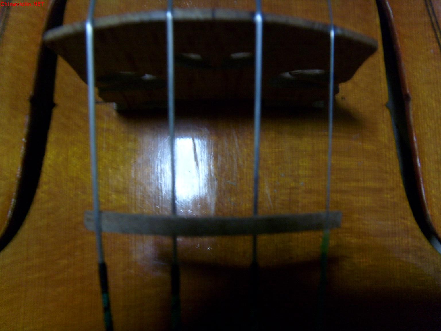 s73r3375.jpg