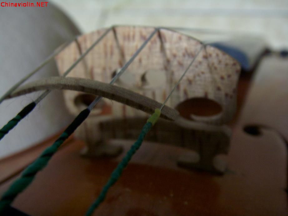 s73r3374.jpg