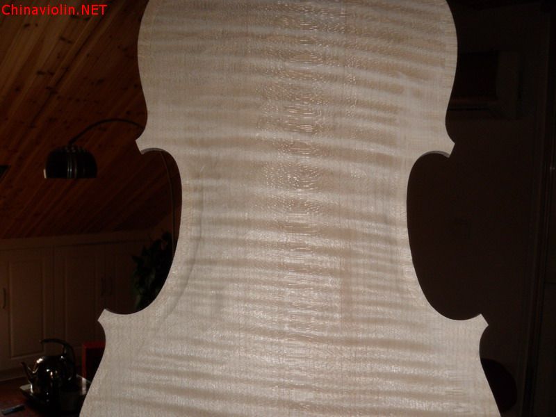 p1010009.jpg