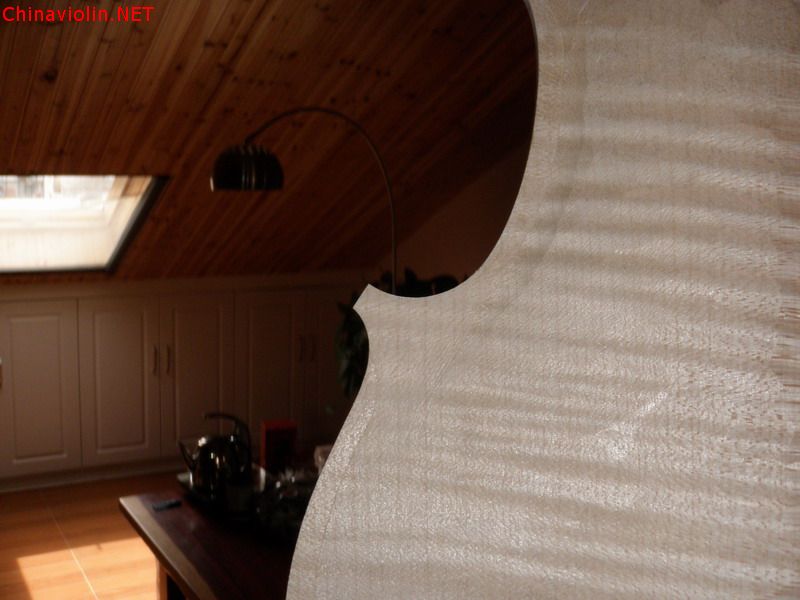 p1010004.jpg