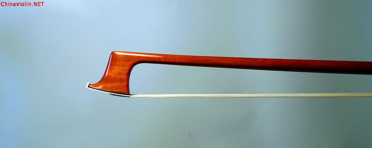vsa vn1.jpg