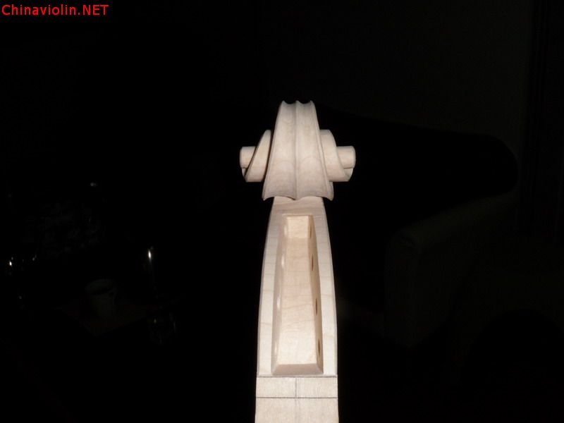p1011247.jpg