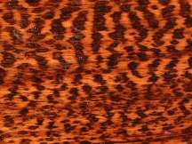 木材中的钻石：蛇纹木