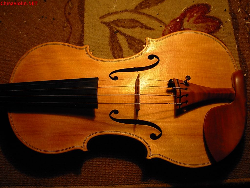 2013--罗炮 (5).jpg