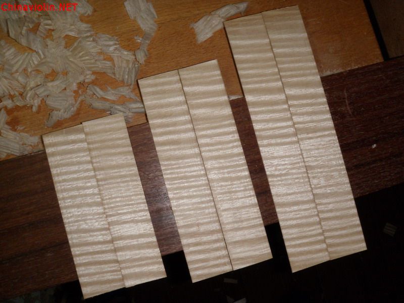 p1010548.jpg