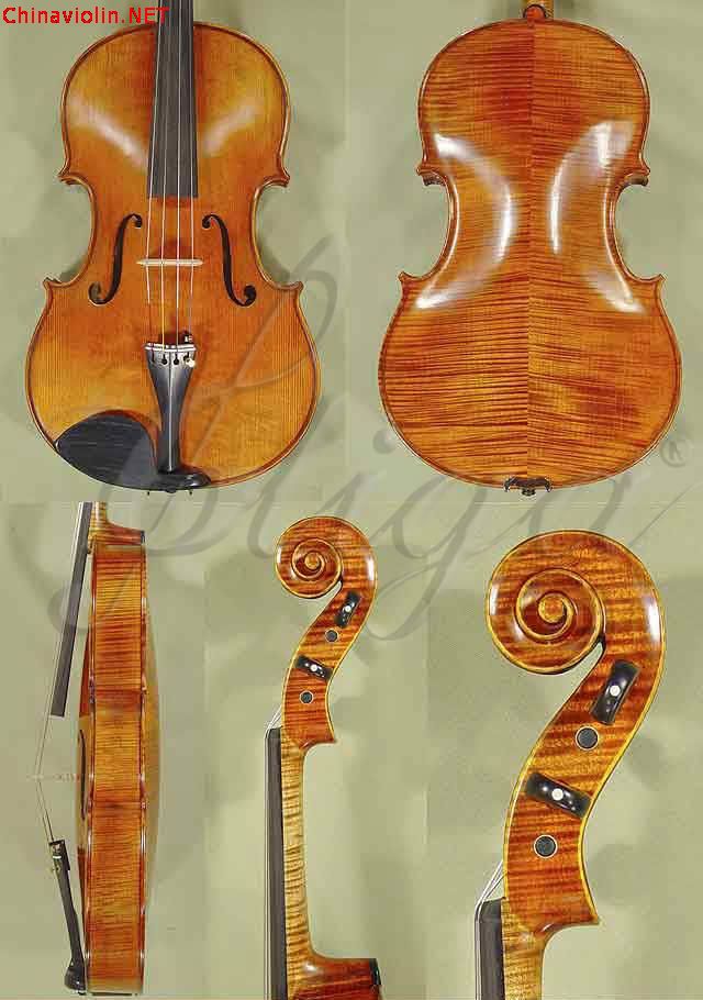 viola17.5 02.jpg