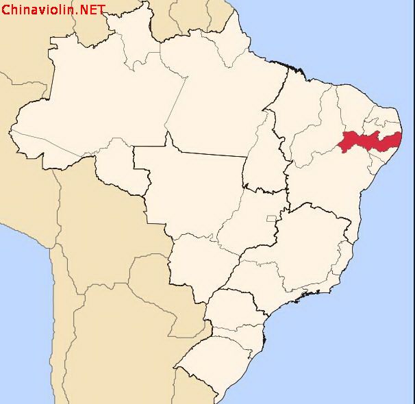 百科——巴西苏木