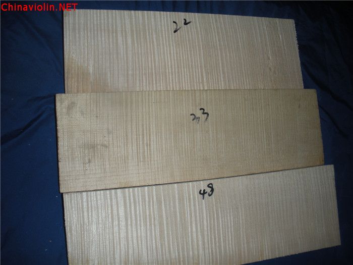 dscn5619.jpg
