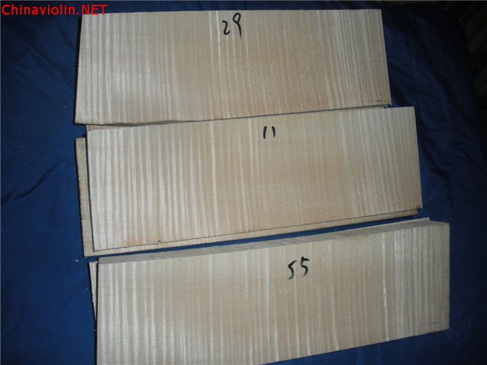 dscn5621.jpg