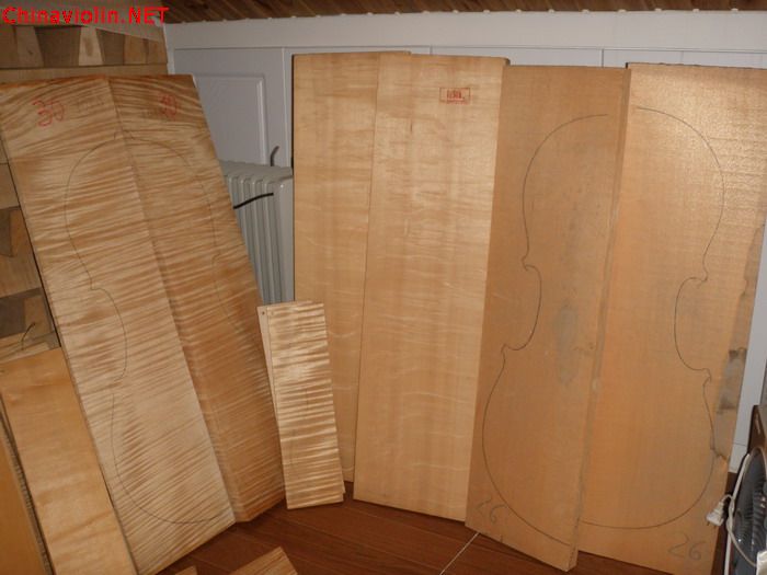 p1011031.jpg