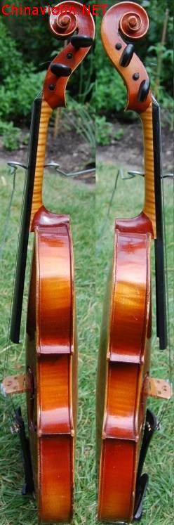 1900年左右 捷克老琴 old european viol2.jpg