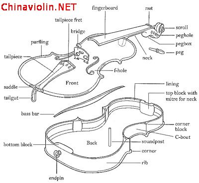 小提琴部件的英文表达方法