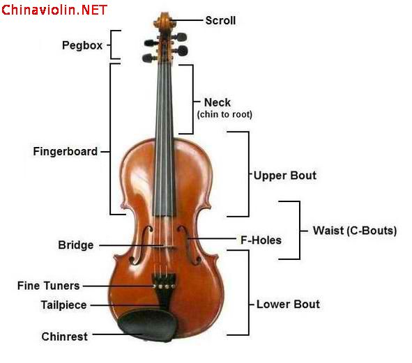 violinconsruction3.jpg