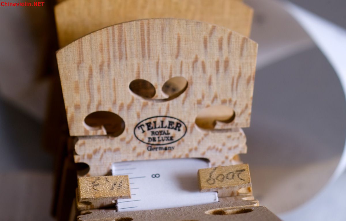 img05193.jpg