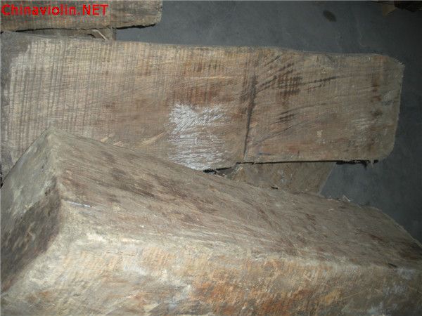 dscn5313.jpg