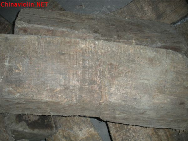 dscn5311.jpg